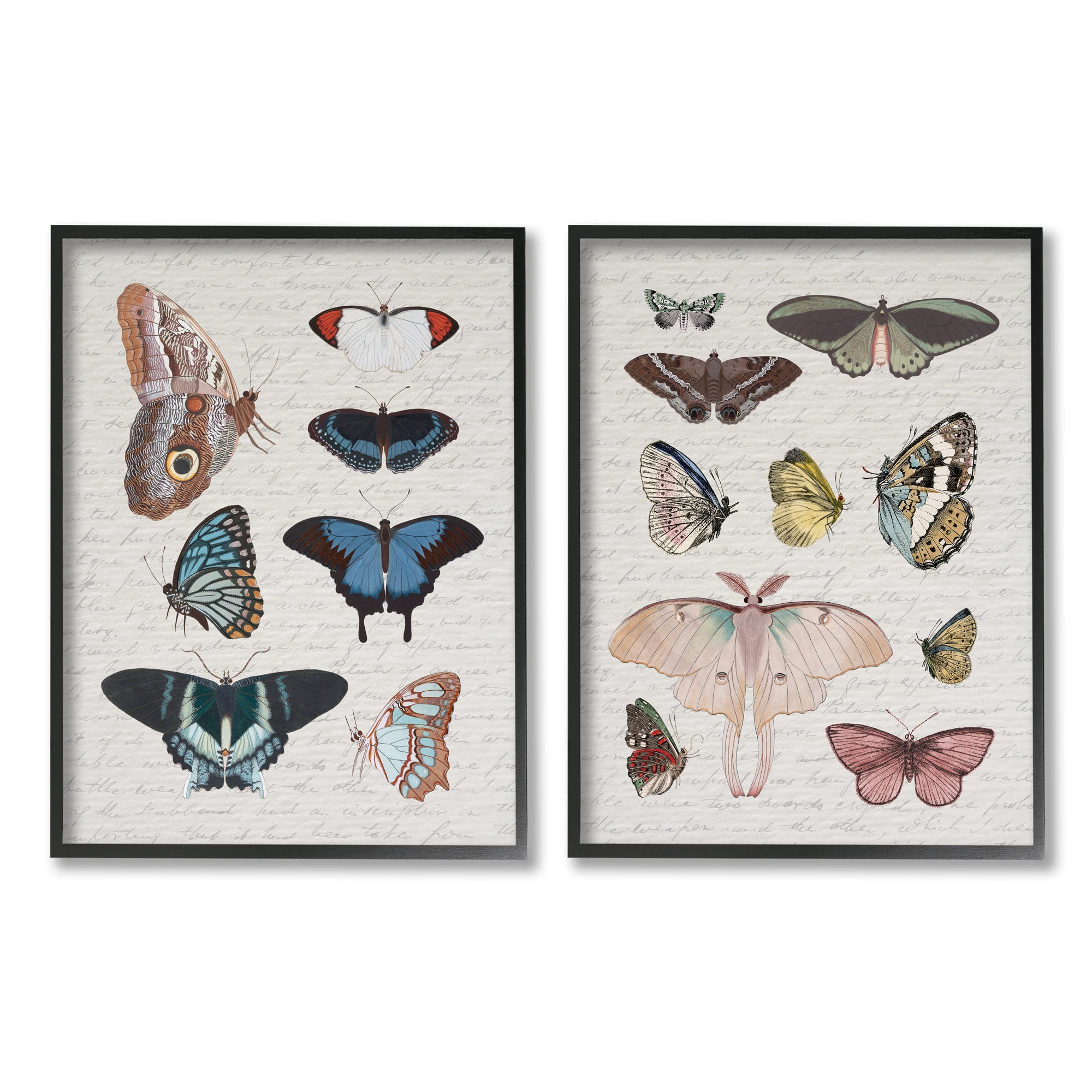 Stupell Industries Vintage Butterflies & Moths Animals & Insects Painting Black Framed Art Print Wall Art, 24 x 30