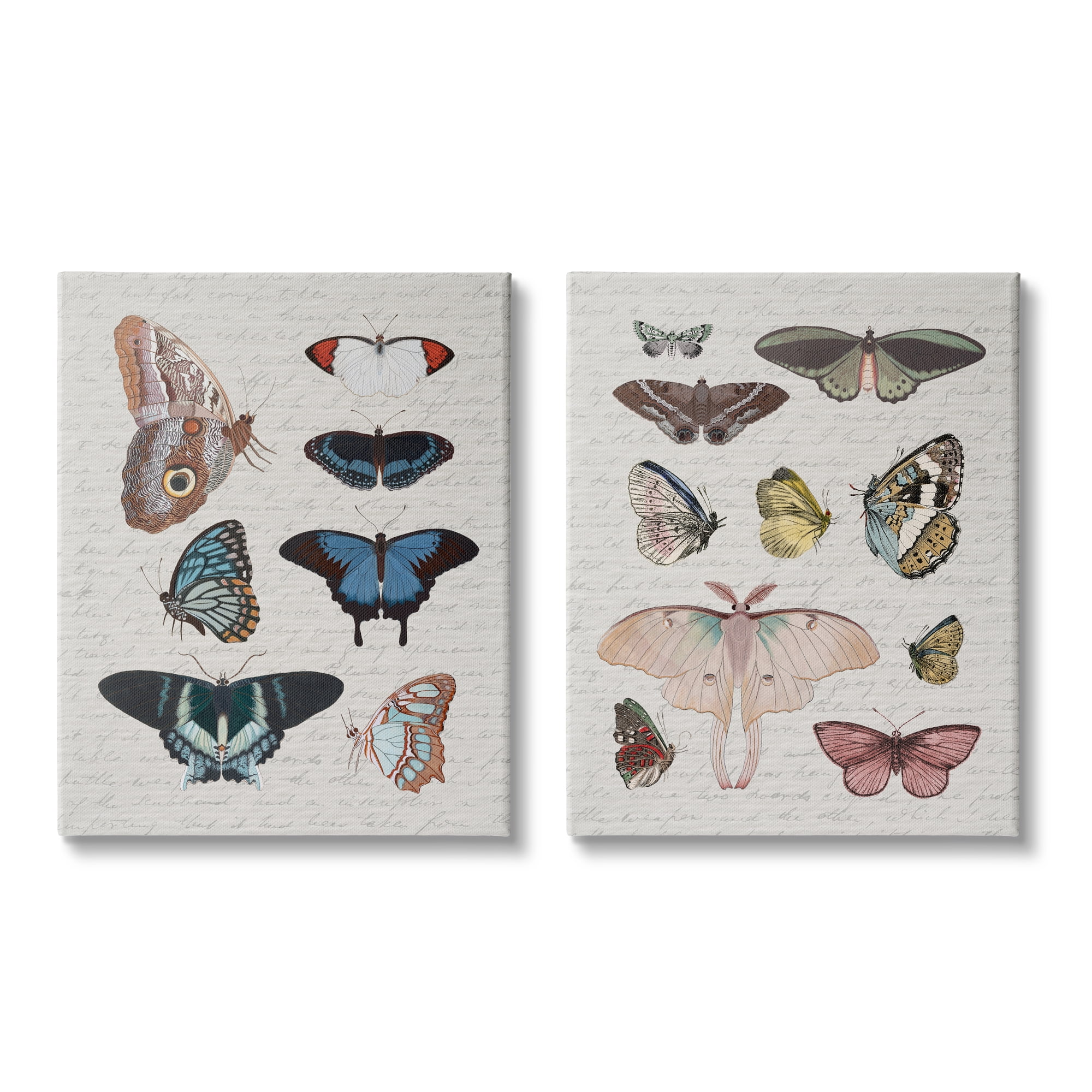 Stupell Industries Vintage Butterflies & Moths Animals & Insects Painting Gallery Wrapped Canvas Art Print Wall Art, 24 x 30, Set of 2
