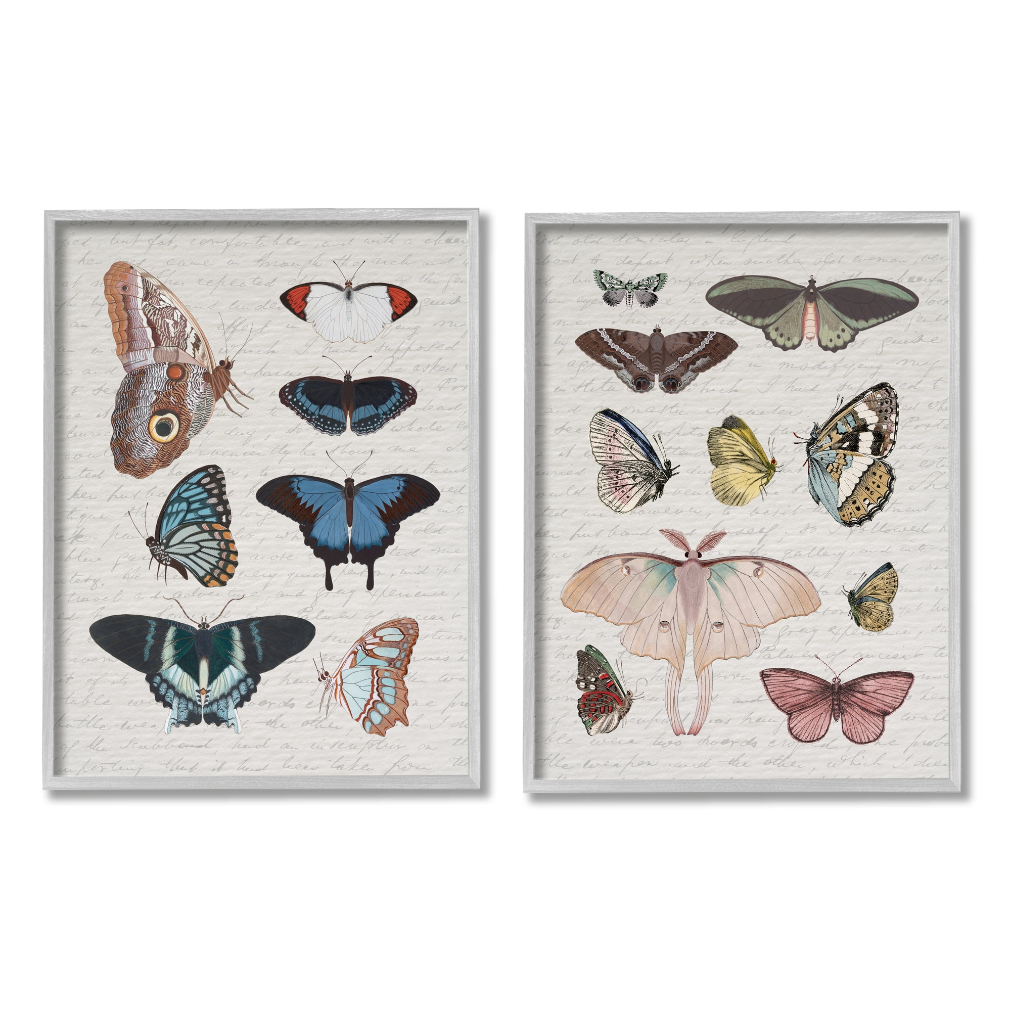 Stupell Industries Vintage Butterflies & Moths Animals & Insects Painting Gray Framed Art Print Wall Art, 16 x 20