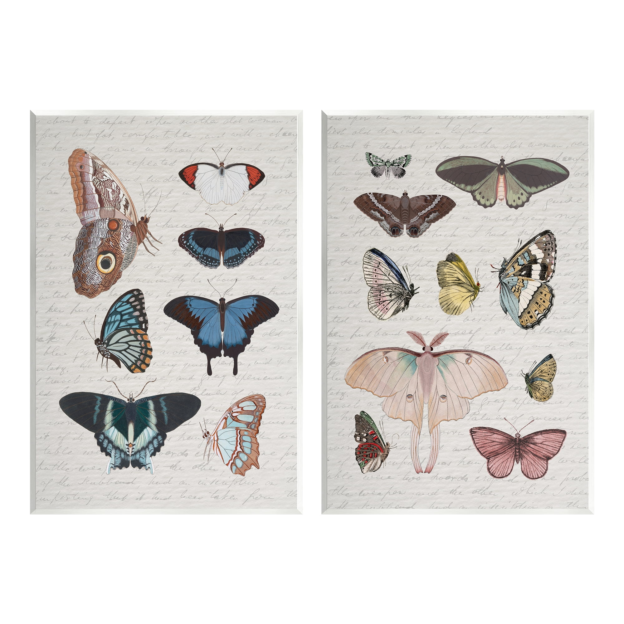 Stupell Industries Vintage Butterflies & Moths Animals & Insects Painting Unframed Art Print Wall Art, 10 x 15