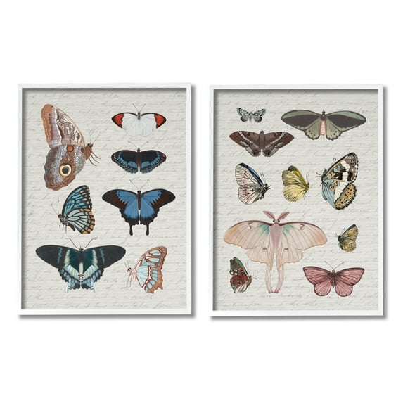 Stupell Industries Vintage Butterflies & Moths Animals & Insects Painting White Framed Art Print Wall Art, 11 x 14