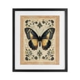 thumbnail image 1 of Stupell Industries Cottage Vintage Butterfly Botanical Illustration Black Framed Print Under Glass, 13 x 16, by Arlington Prints, 1 of 8