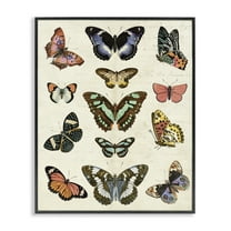 Stupell Industries Vintage Butterfly Breeds Insects Painting Black Framed Art Print Wall Art, 11 x 14