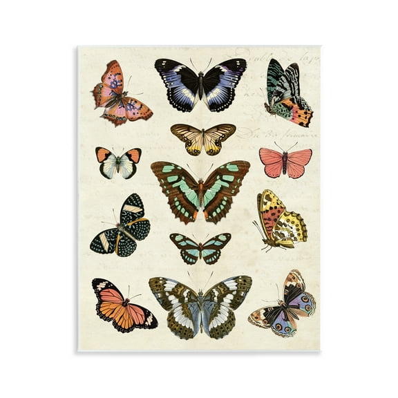 Stupell Industries Vintage Butterfly Breeds Insects Painting Unframed Art Print Wall Art, 11 x 14