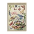 thumbnail image 1 of Stupell Industries Vintage Butterfly Conservatory Canvas Wall Art design by DIANNART, 36 x 24, 1 of 7