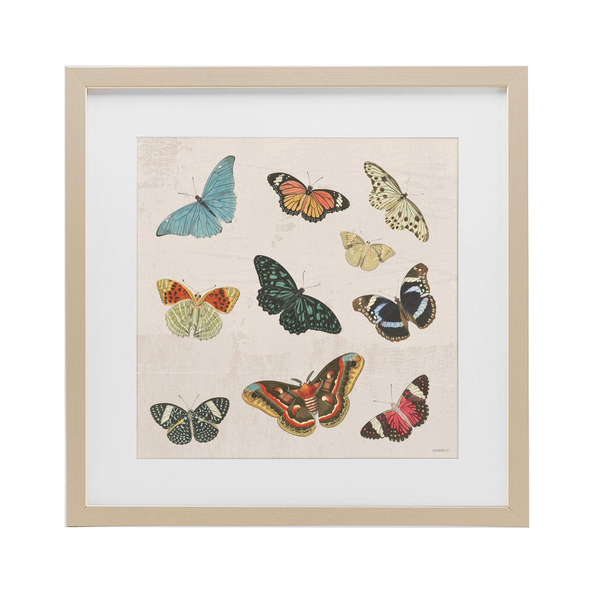 Stupell Industries Vintage Butterfly Flight Birch Framed Print Under Glass, design by Dan Meneely