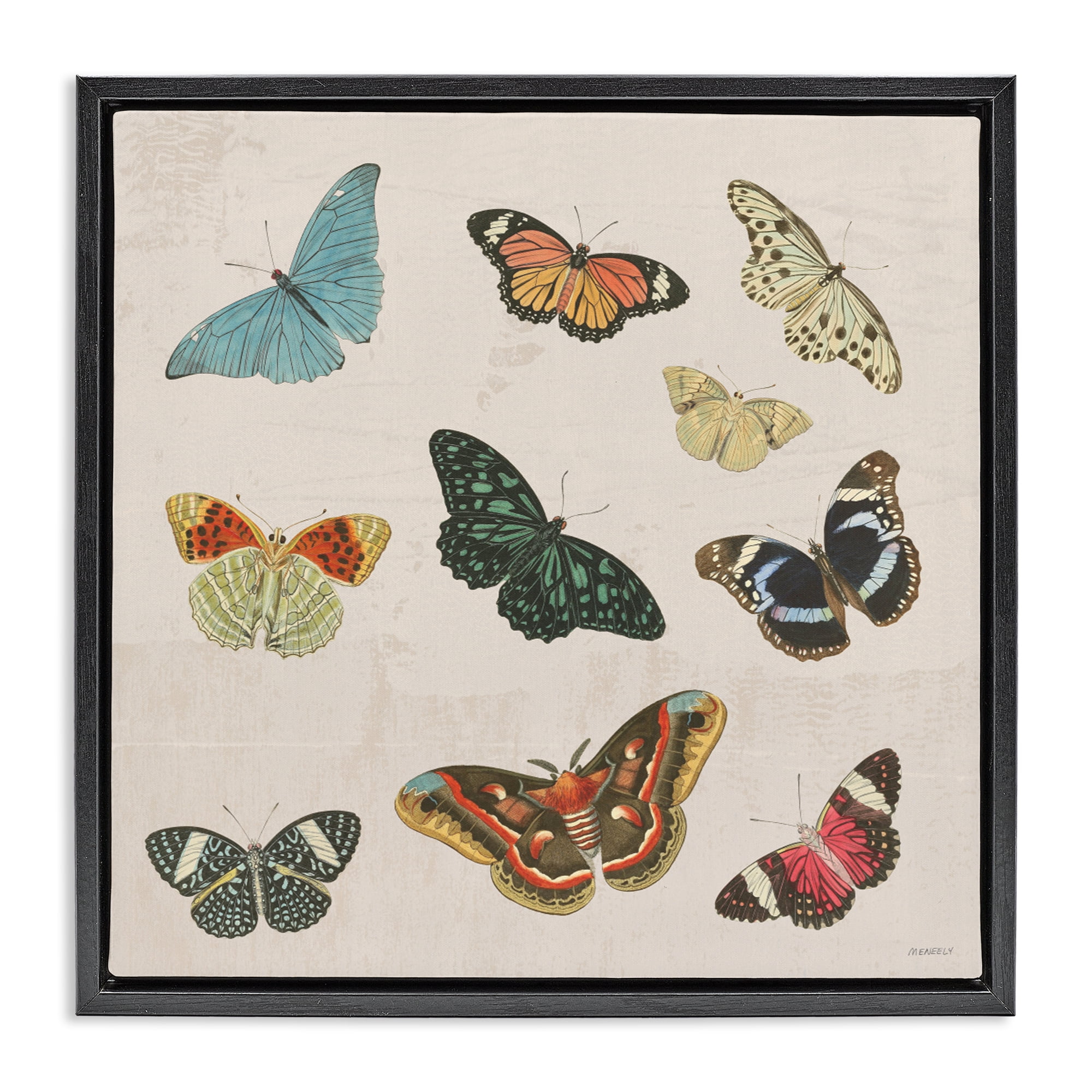 Stupell Industries Vintage Butterfly Flight Black Framed Floater Canvas Wall Art, design by Dan Meneely