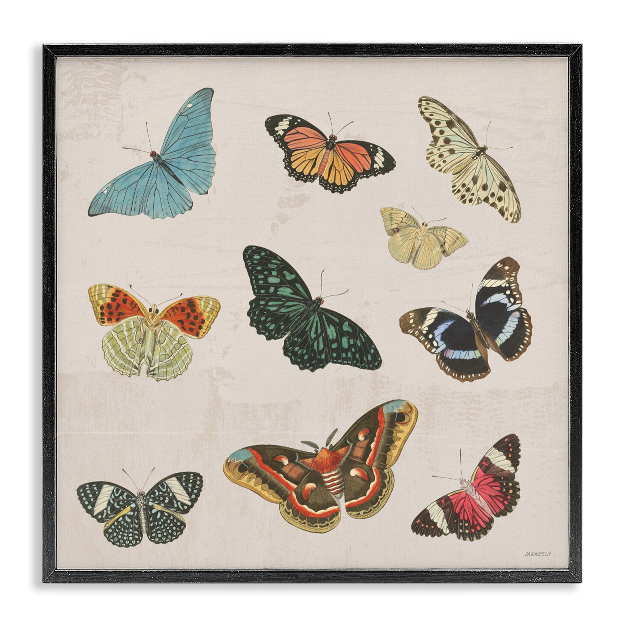 Stupell Industries Vintage Butterfly Flight Black Framed Giclee Art, design by Dan Meneely