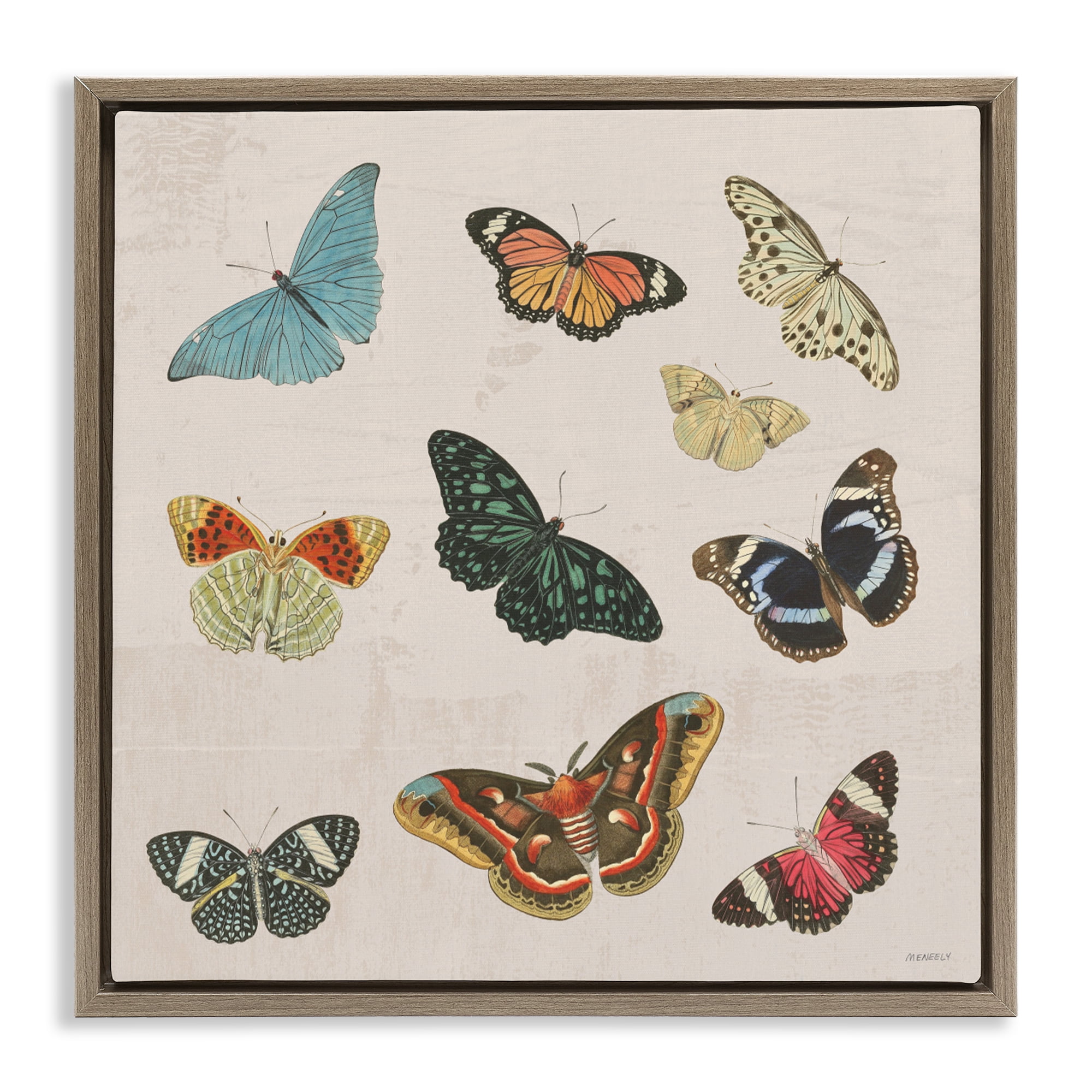 Stupell Industries Vintage Butterfly Flight Brown Framed Floater Canvas Wall Art, design by Dan Meneely
