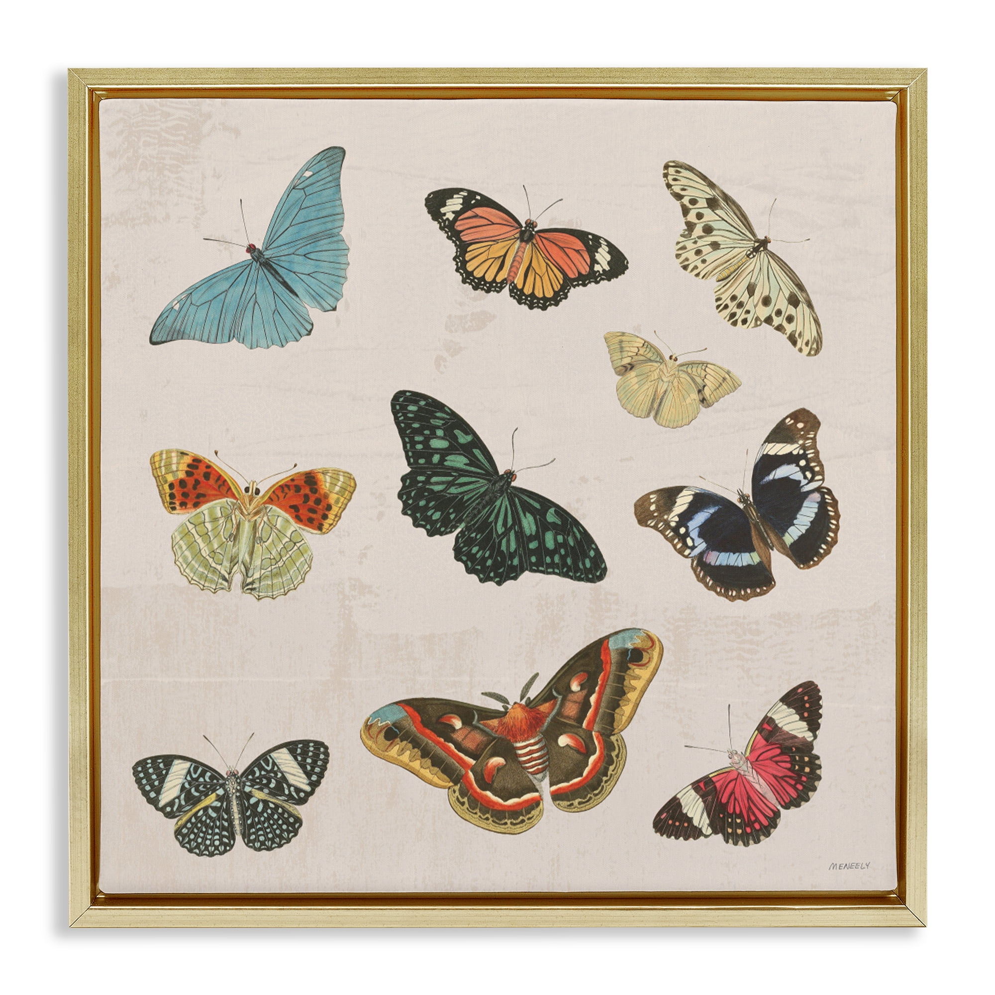 Stupell Industries Vintage Butterfly Flight Gold Framed Floater Canvas Wall Art, design by Dan Meneely