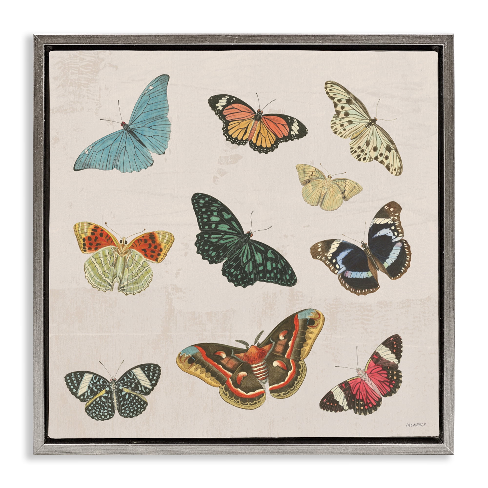 Stupell Industries Vintage Butterfly Flight Gray Framed Floater Canvas Wall Art, design by Dan Meneely