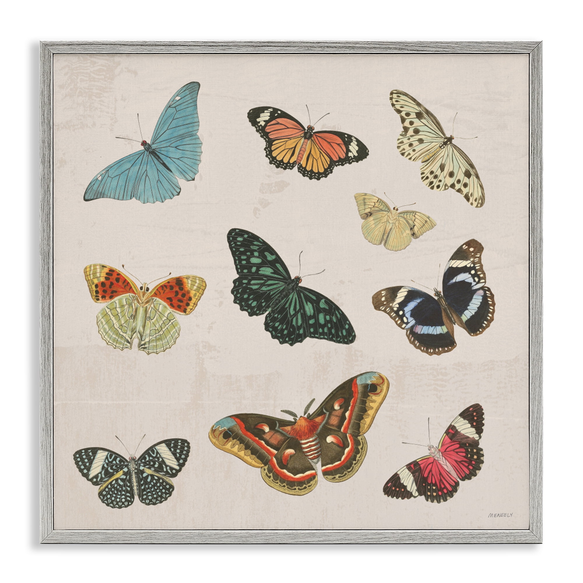 Stupell Industries Vintage Butterfly Flight Gray Framed Giclee Art, design by Dan Meneely