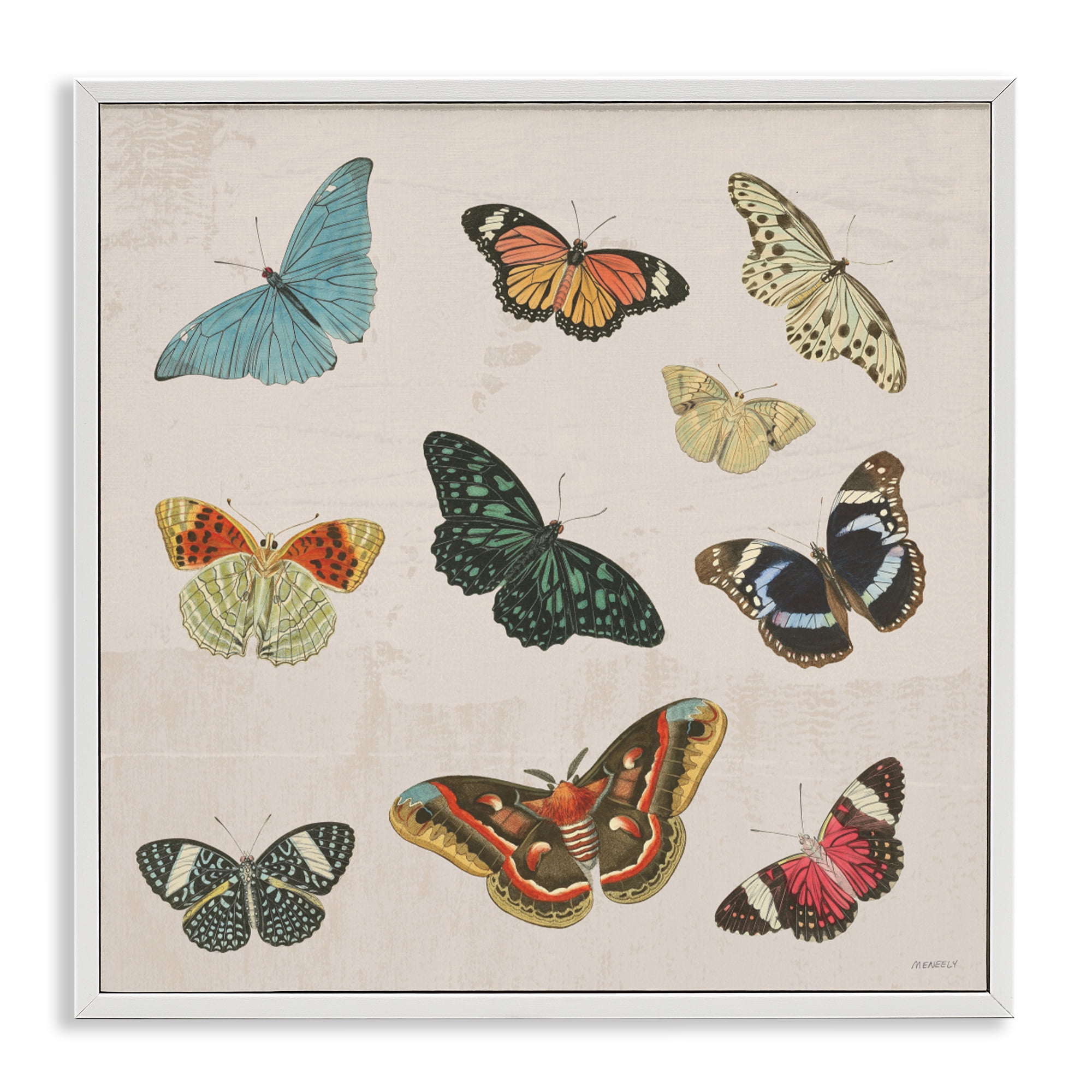 Stupell Industries Vintage Butterfly Flight White Framed Giclee Art, design by Dan Meneely