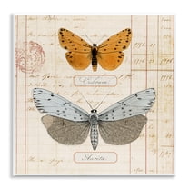 Stupell Industries Vintage Butterfly Specimen Insects Painting Unframed Art Print Wall Art, 12 x 12