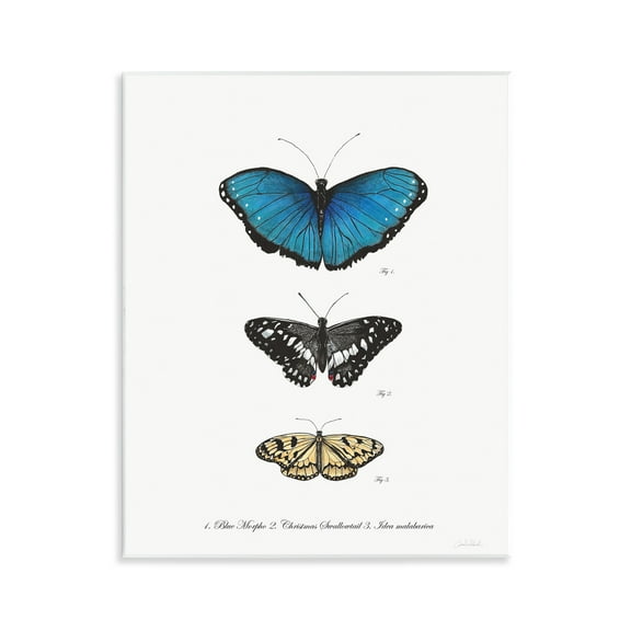 Stupell Industries Vintage Butterfly Specimens Animals & Insects Painting Unframed Art Print Wall Art, 11 x 14