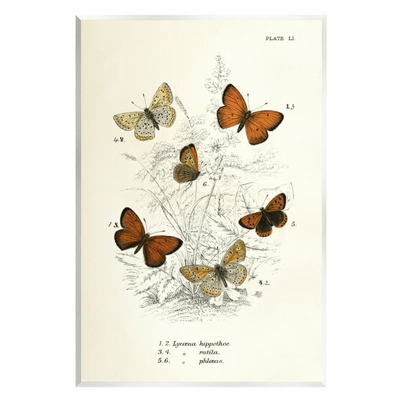 Stupell Industries Vintage Butterfly Studies Animals & Insects Painting Unframed Art Print Wall Art, 10 x 15