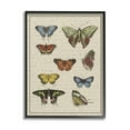 thumbnail image 1 of Stupell Industries Vintage Butterfly Study over Muted Cursive Script Vintage Painting Black framed Art Print Wall Art, 24 x 30, Design by Daphne Polselli, 1 of 7