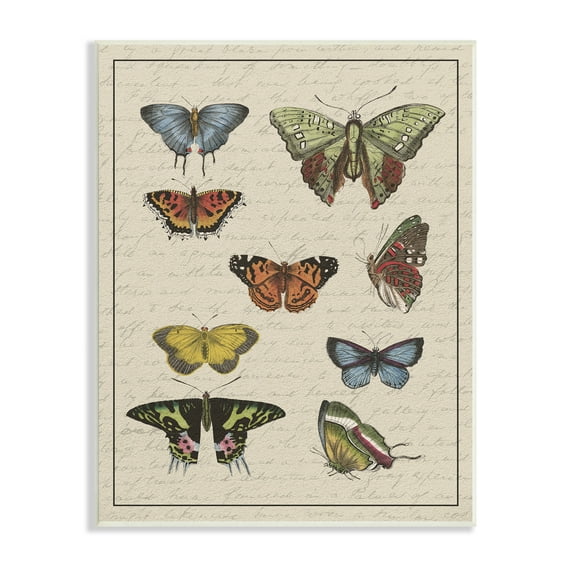 Stupell Industries Vintage Butterfly Study over Muted Cursive Script Animals & Insects Painting Unframed Art Print Wall Art, 10 x 15