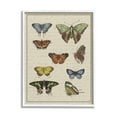 thumbnail image 1 of Stupell Industries Vintage Butterfly Study over Muted Cursive Script Animals & Insects Painting White Framed Art Print Wall Art, 24 x 30, 1 of 7