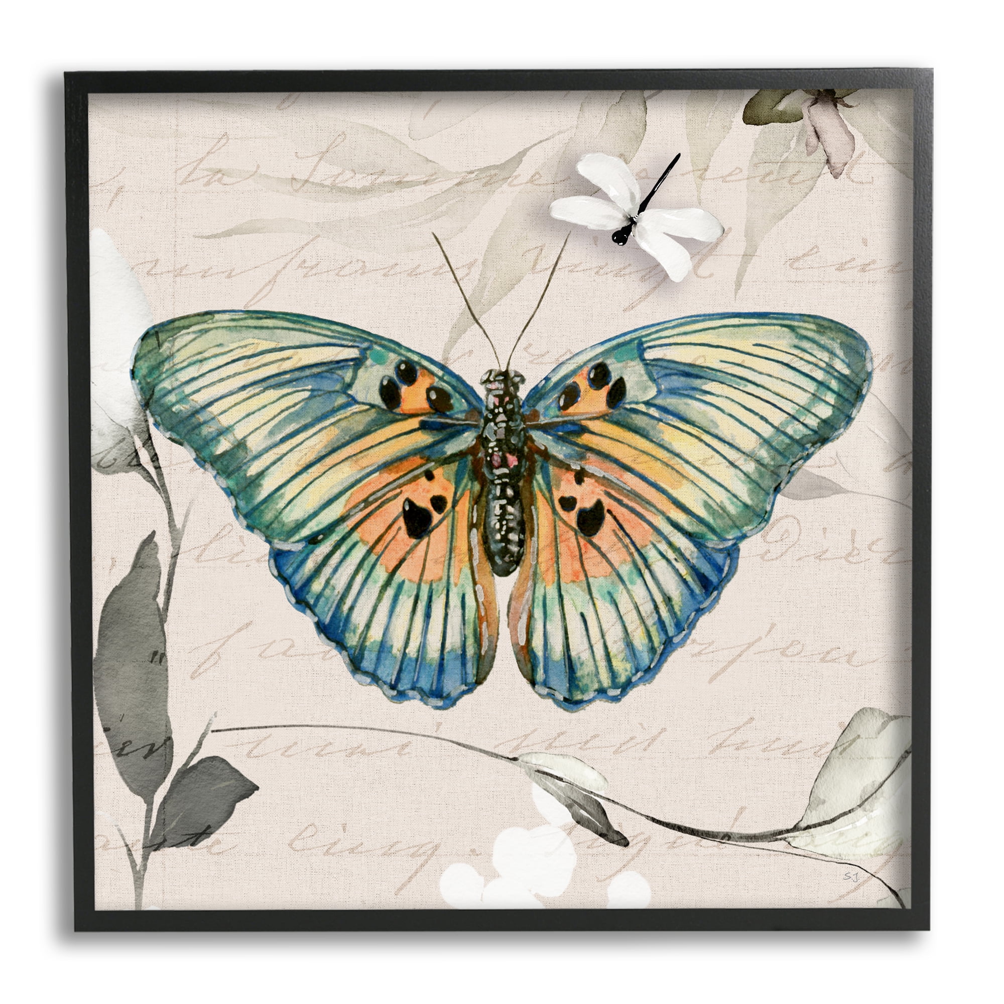 Stupell Industries Vintage Butterfly with Cursive Animals & Insects Painting Black Framed Art Print Wall Art, 12 x 12