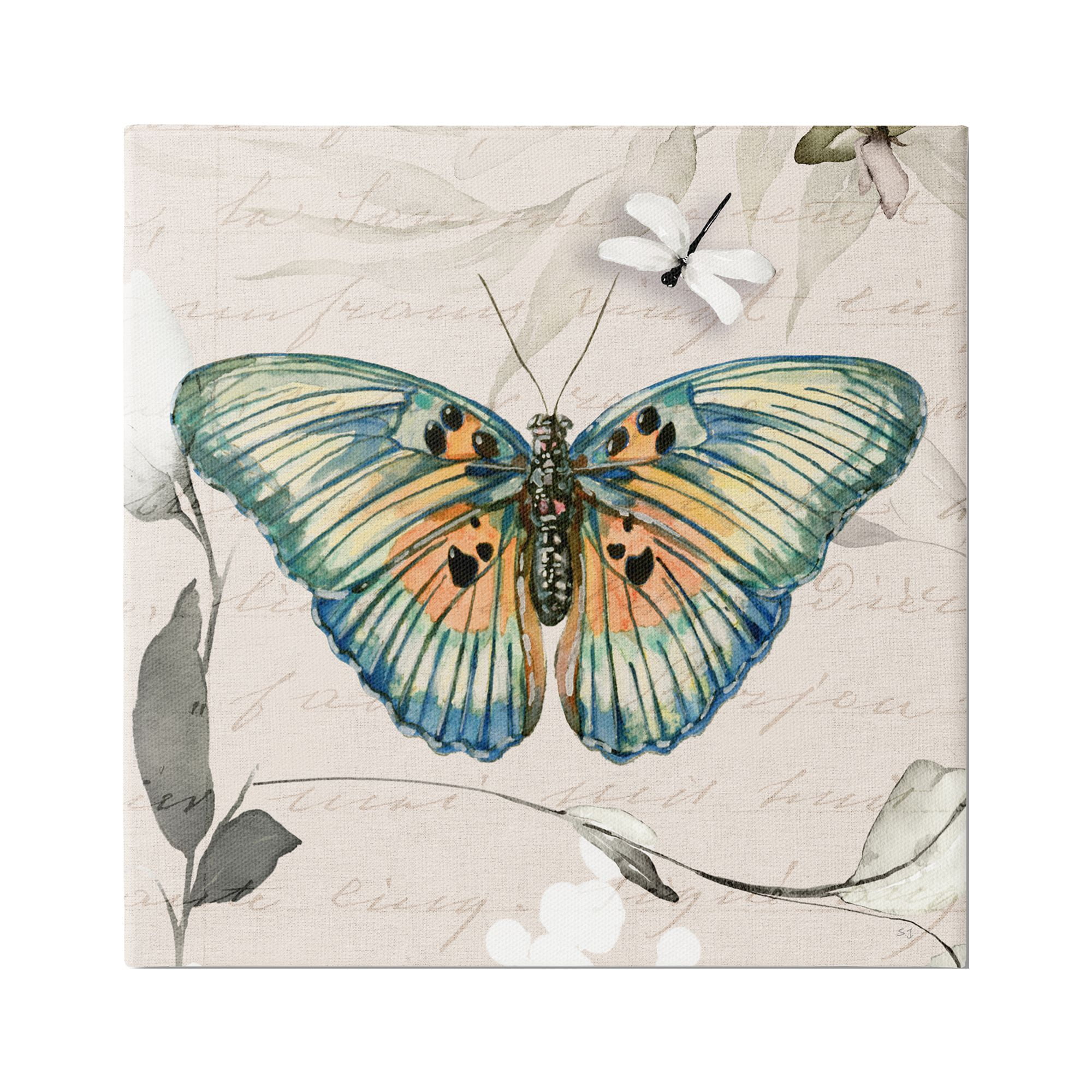 Stupell Industries Vintage Butterfly with Cursive Animals & Insects Painting Gallery Wrapped Canvas Art Print Wall Art, 30 x 30