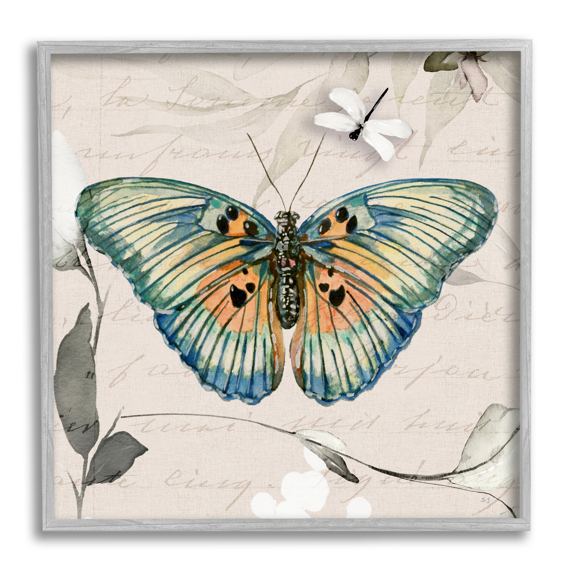 Stupell Industries Vintage Butterfly with Cursive Animals & Insects Painting Gray Framed Art Print Wall Art, 12 x 12