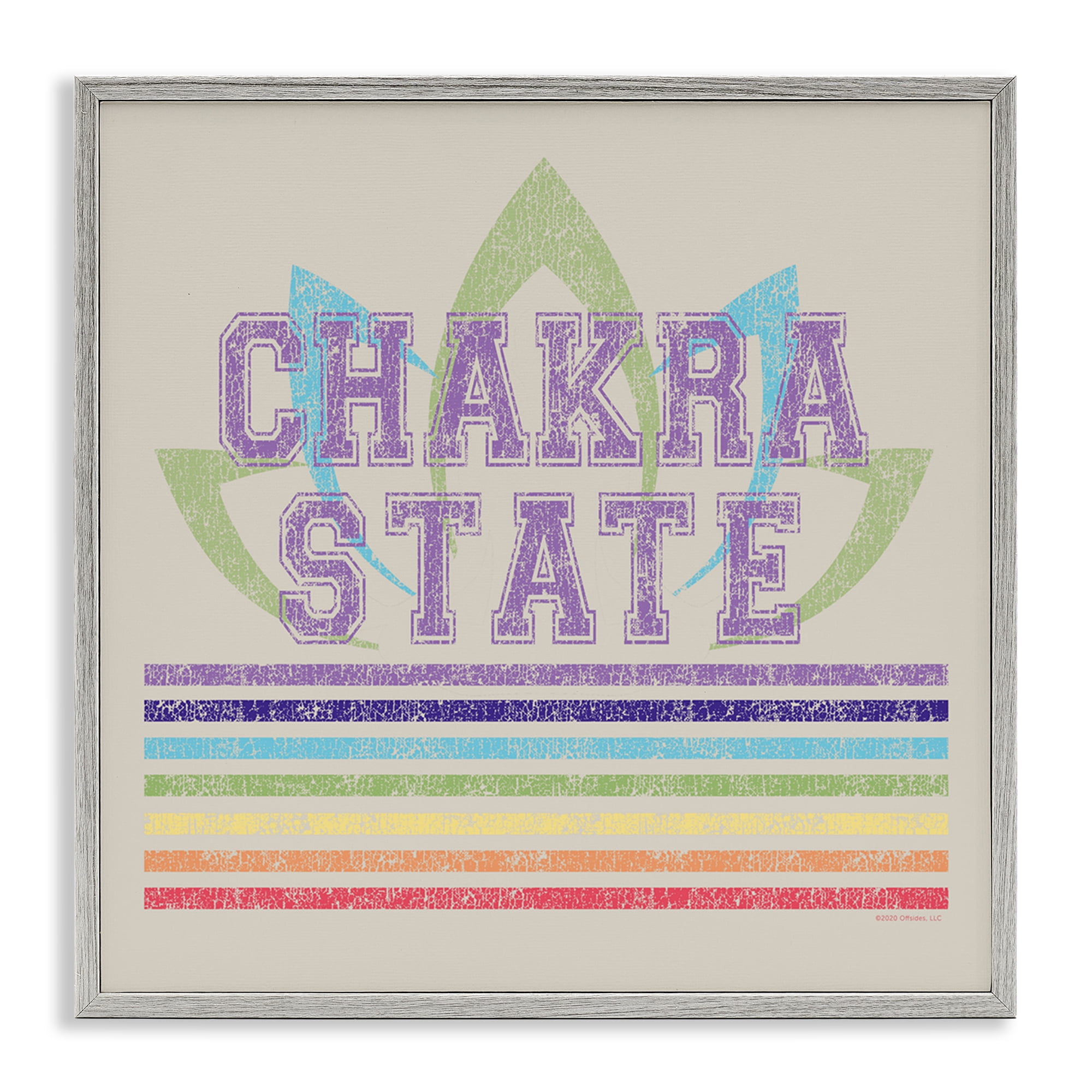 Stupell Industries Vintage Chakra State Novelty & Humor Painting Gray Framed Art Print Wall Art, 24 x 24