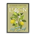 thumbnail image 1 of Stupell Industries Vintage Citrus Fruits Lemon Squeeze the Day Phrase, 11 x 14, Design by Andrea Jasid Grassi, 1 of 5