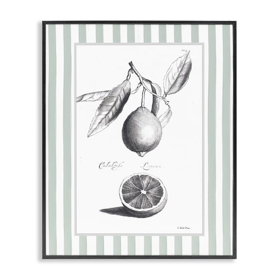 Stupell Industries Vintage Citrus Striped Border Black Framed Giclee Art design by Lettered and Lined, 14 x 11