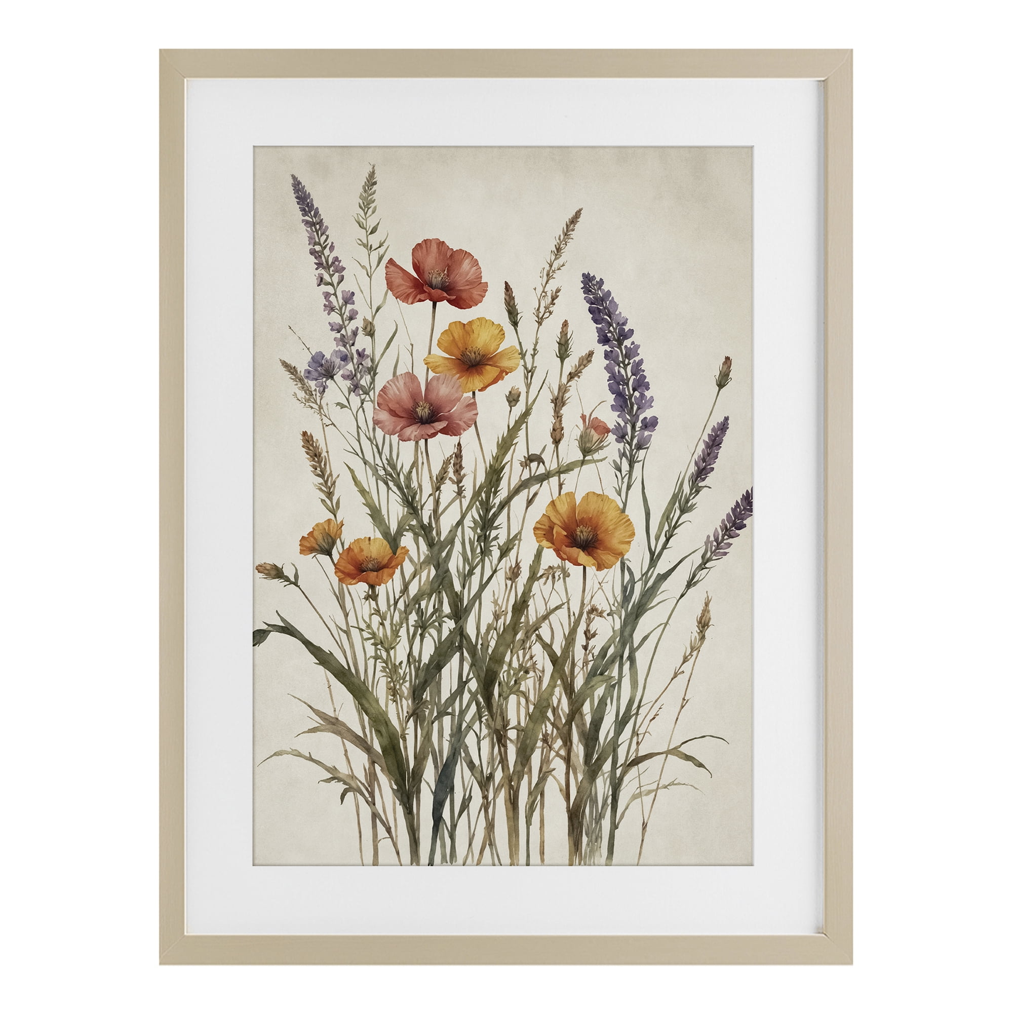 Stupell Industries Vintage Collection of Meadow Botanicals Birch Framed Print Under Glass, design by Nataly White