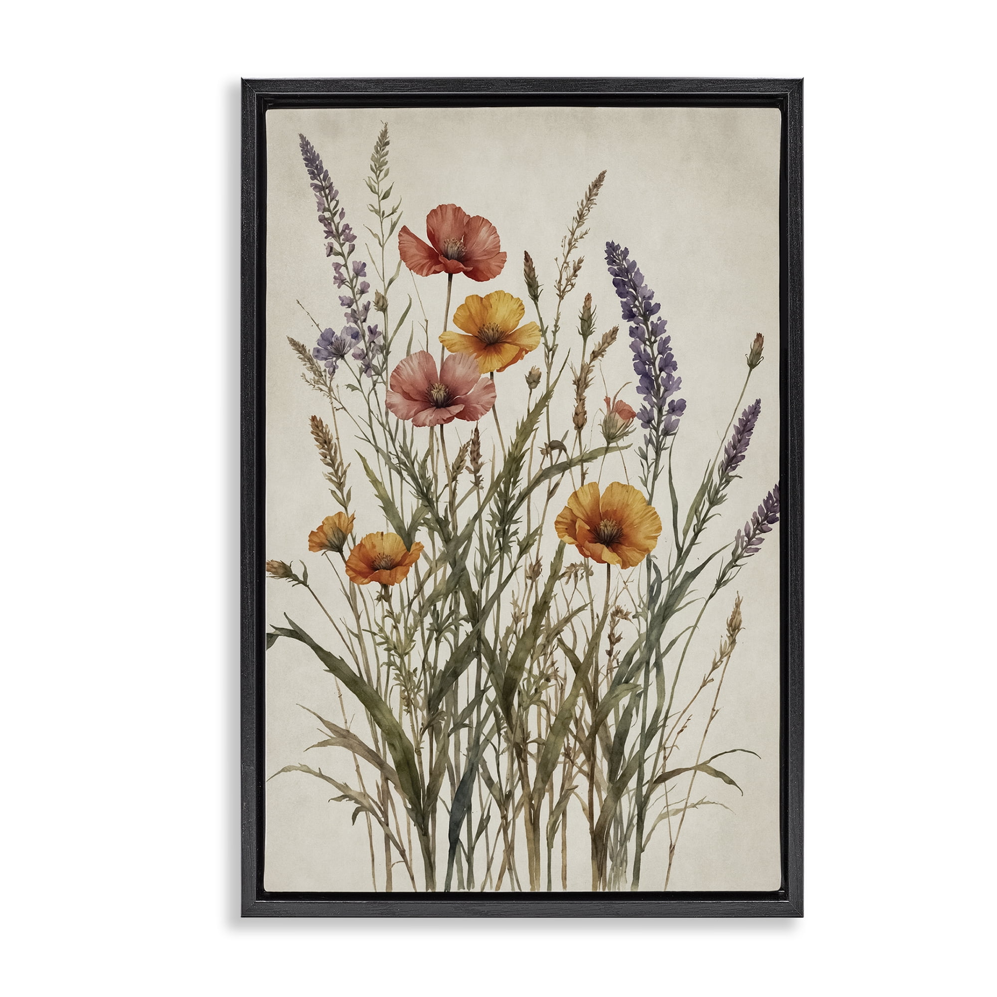 Stupell Industries Vintage Collection of Meadow Botanicals Black Framed Floater Canvas Wall Art, design by Nataly White
