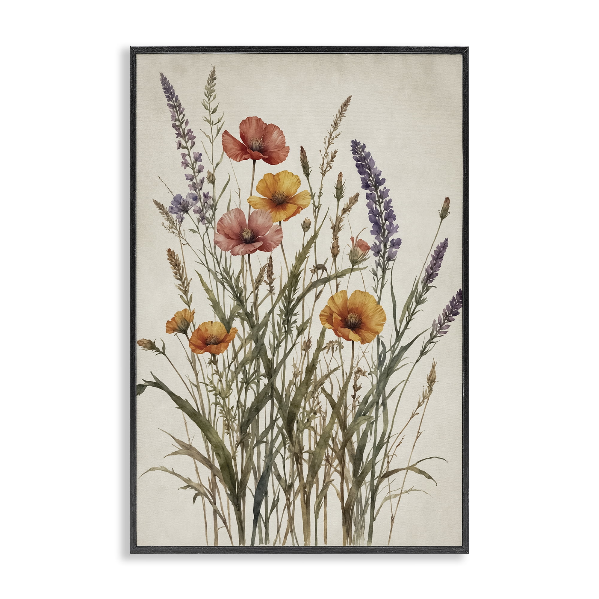 Stupell Industries Vintage Collection of Meadow Botanicals Black Framed Giclee Art, design by Nataly White