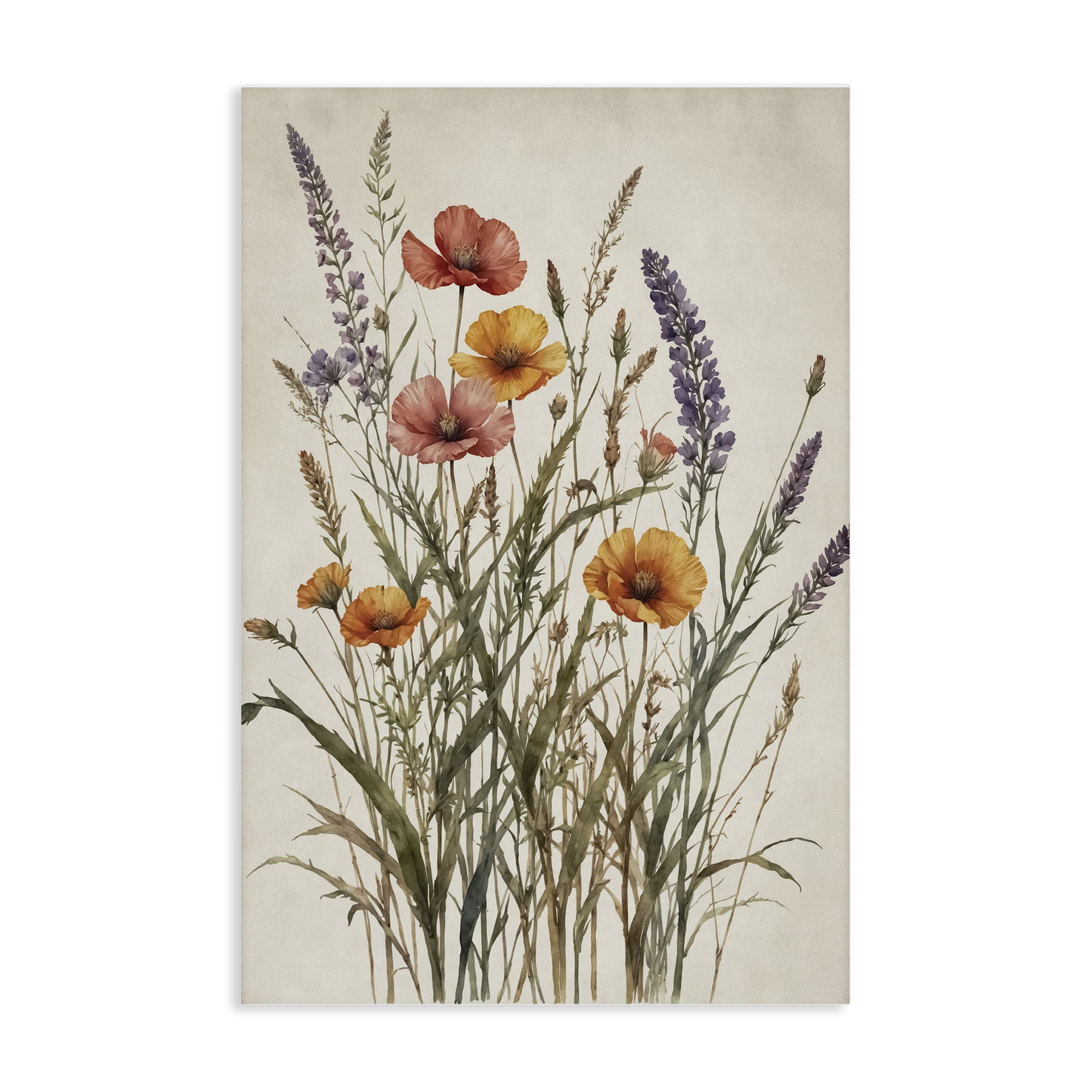 Stupell Industries Vintage Collection of Meadow Botanicals Canvas Wall Art, design by Nataly White