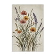 thumbnail image 1 of Stupell Industries Traditional Vintage Collection of Meadow Botanicals Canvas Art, 24 x 36, by Nataly White, 1 of 8