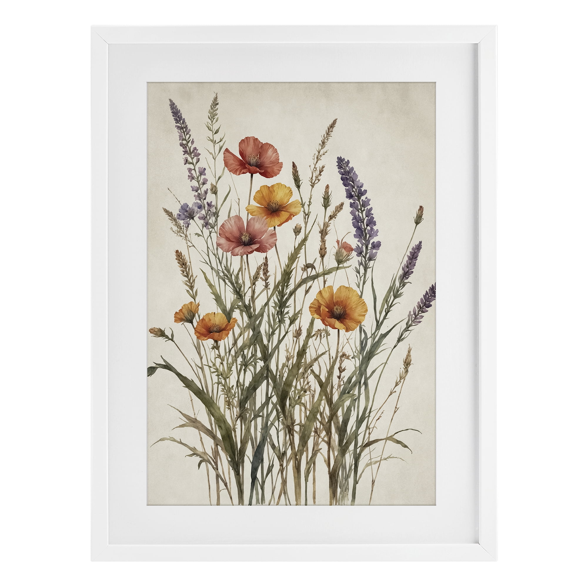 Stupell Industries Vintage Collection of Meadow Botanicals White Framed Print Under Glass, design by Nataly White