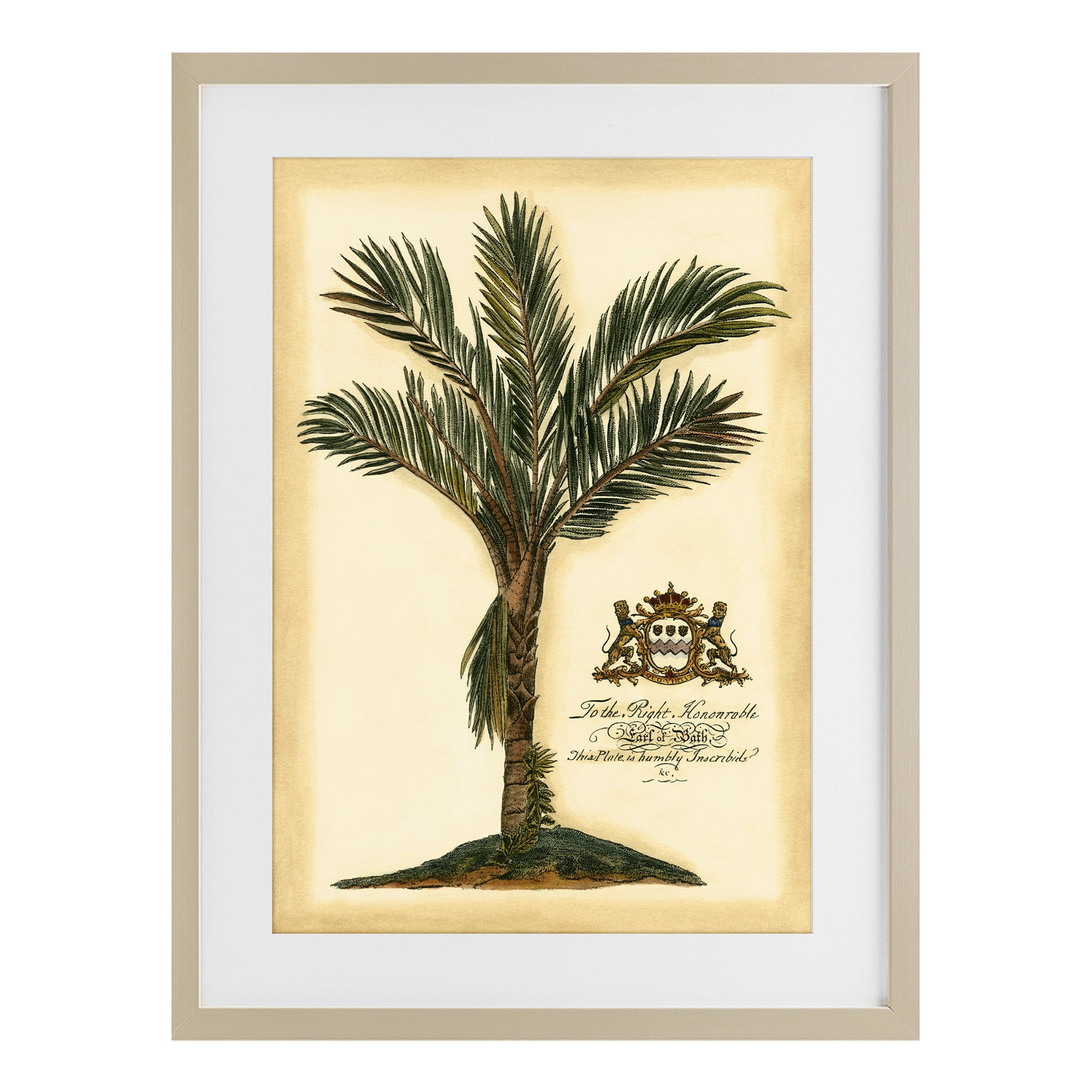 Stupell Industries Vintage Colonial Palm Birch Framed Print Under Glass, design by Vision Studio
