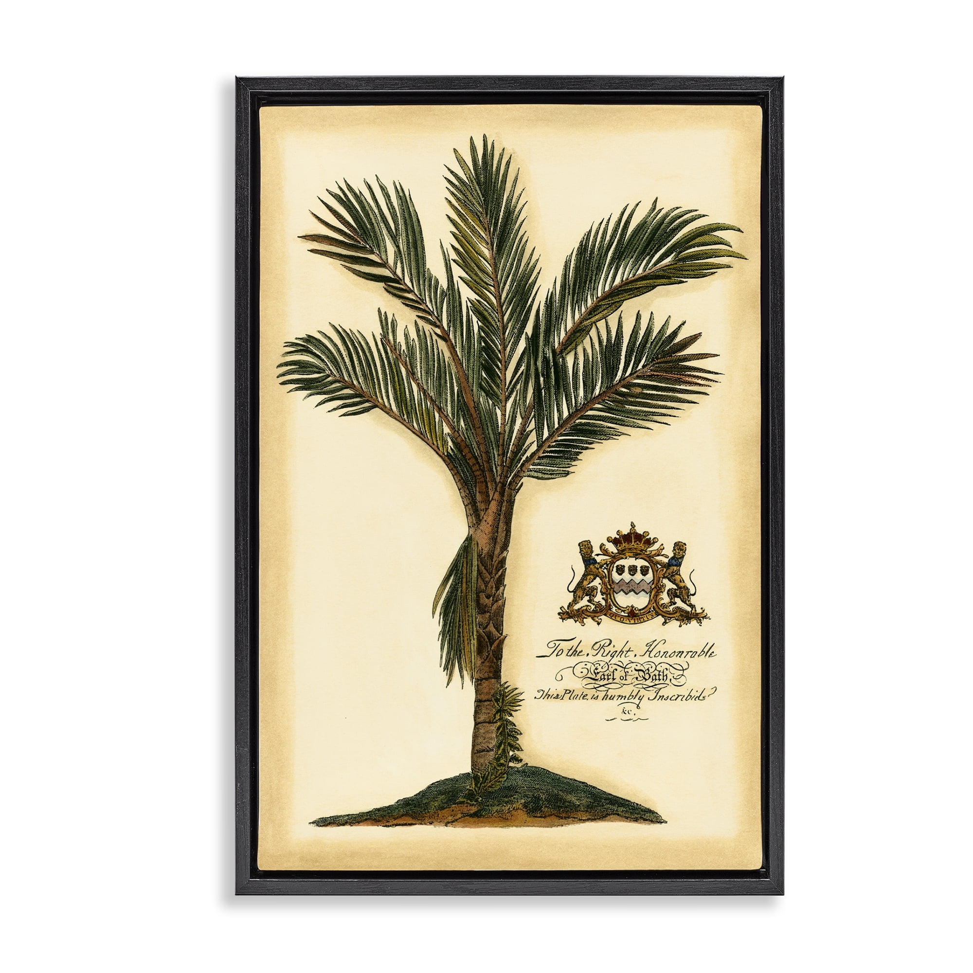 Stupell Industries Vintage Colonial Palm Black Framed Floater Canvas Wall Art, design by Vision Studio