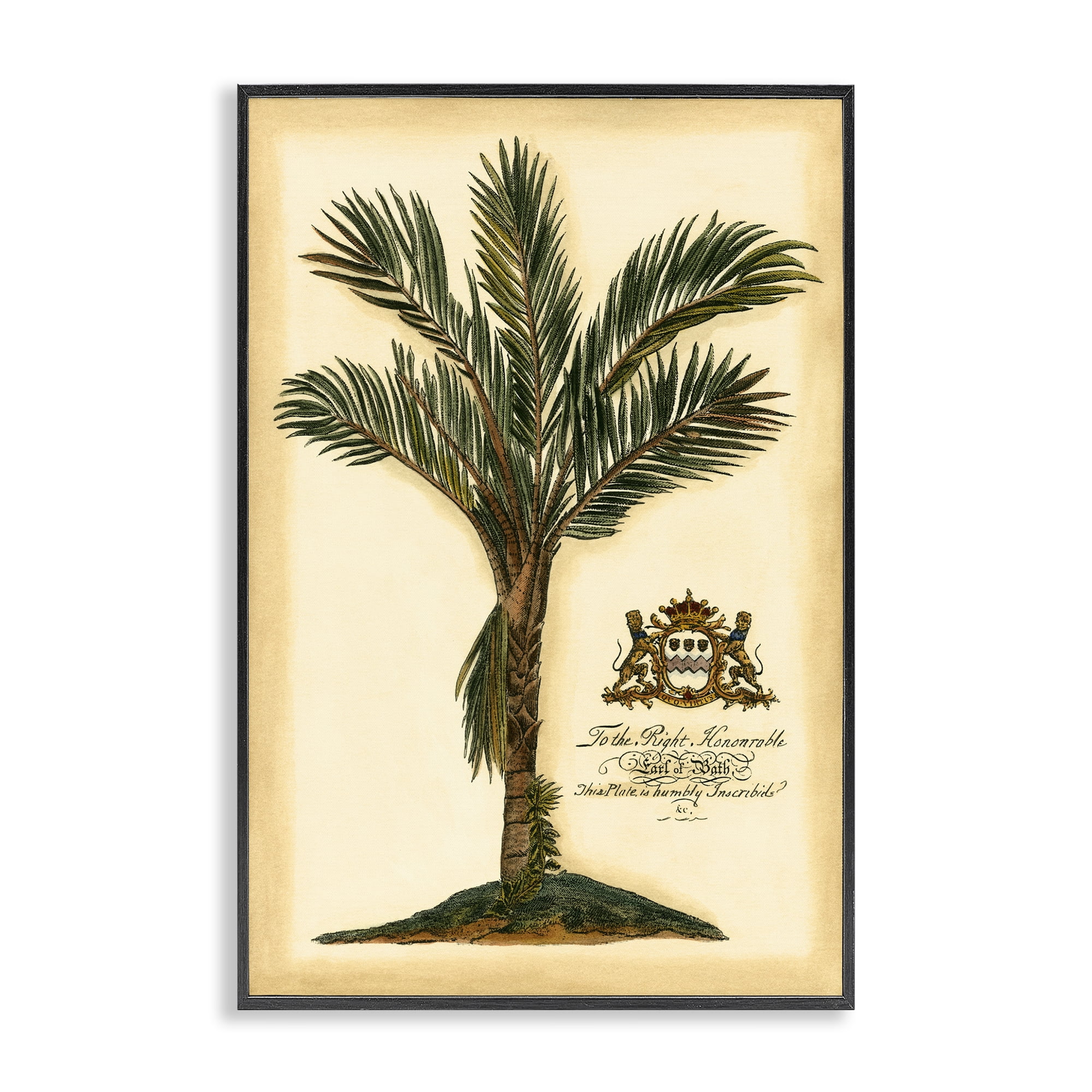 Stupell Industries Vintage Colonial Palm Black Framed Giclee Art, design by Vision Studio
