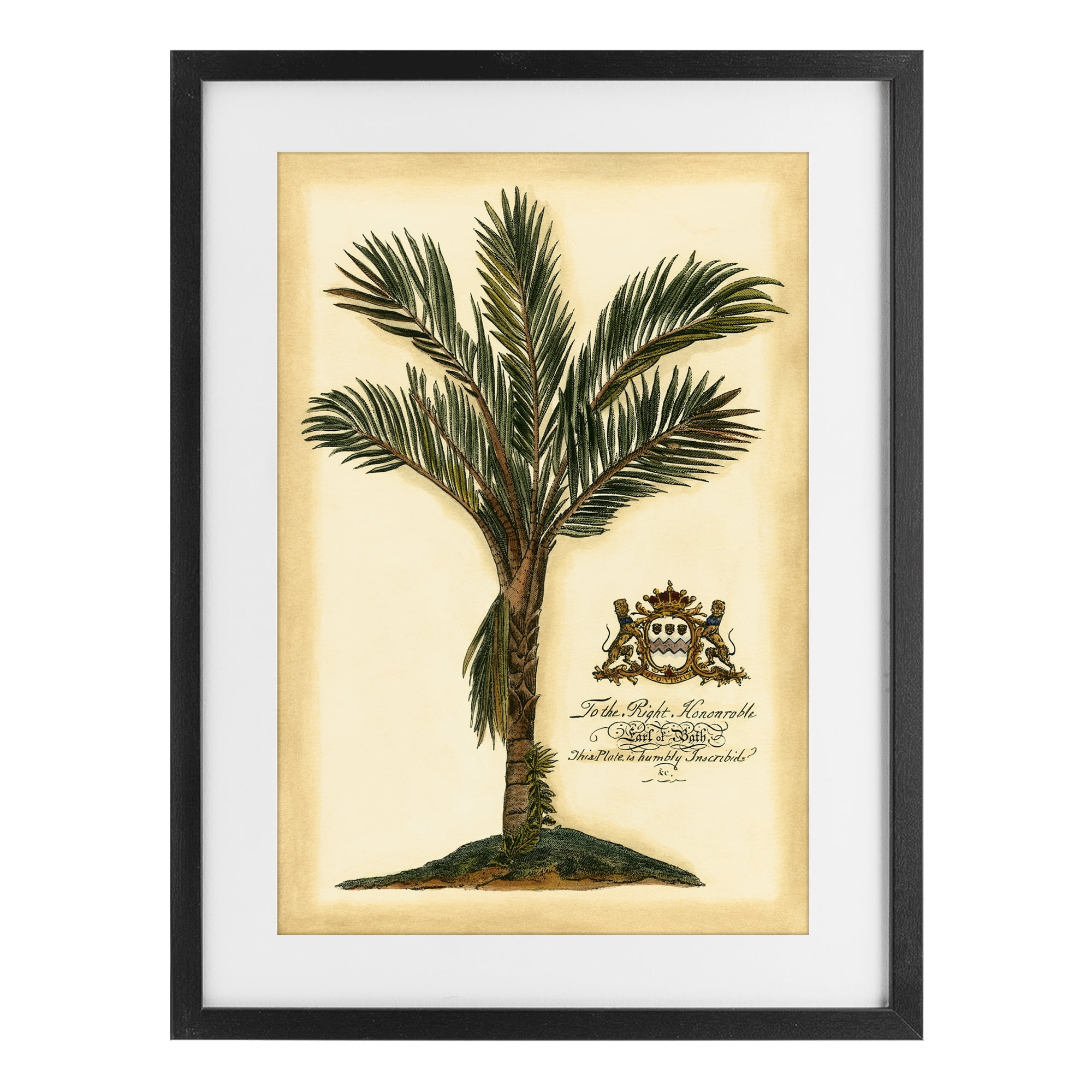 Stupell Industries Vintage Colonial Palm Black Framed Print Under Glass, design by Vision Studio