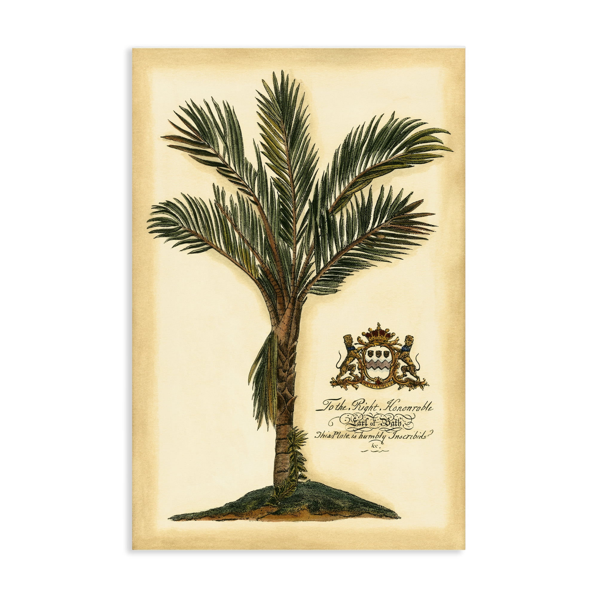 Stupell Industries Vintage Colonial Palm Canvas Wall Art, design by Vision Studio
