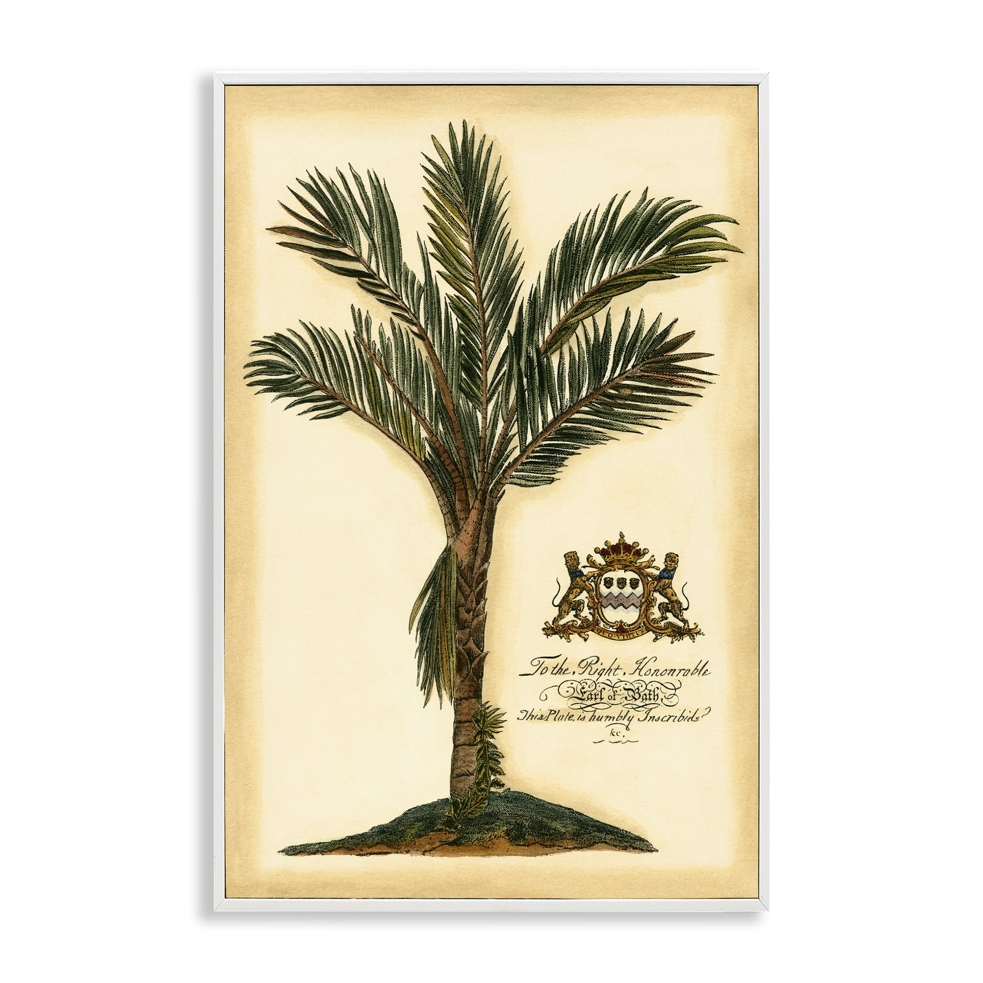 Stupell Industries Vintage Colonial Palm White Framed Giclee Art, design by Vision Studio