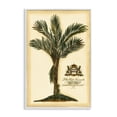 thumbnail image 1 of Stupell Industries Traditional Vintage Colonial Palm White Framed Giclee Art, 12 x 18, by Vision Studio, 1 of 8