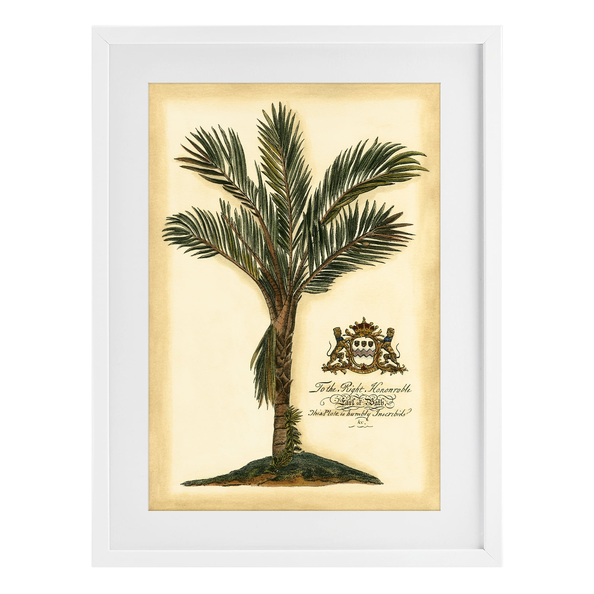 Stupell Industries Vintage Colonial Palm White Framed Print Under Glass, design by Vision Studio