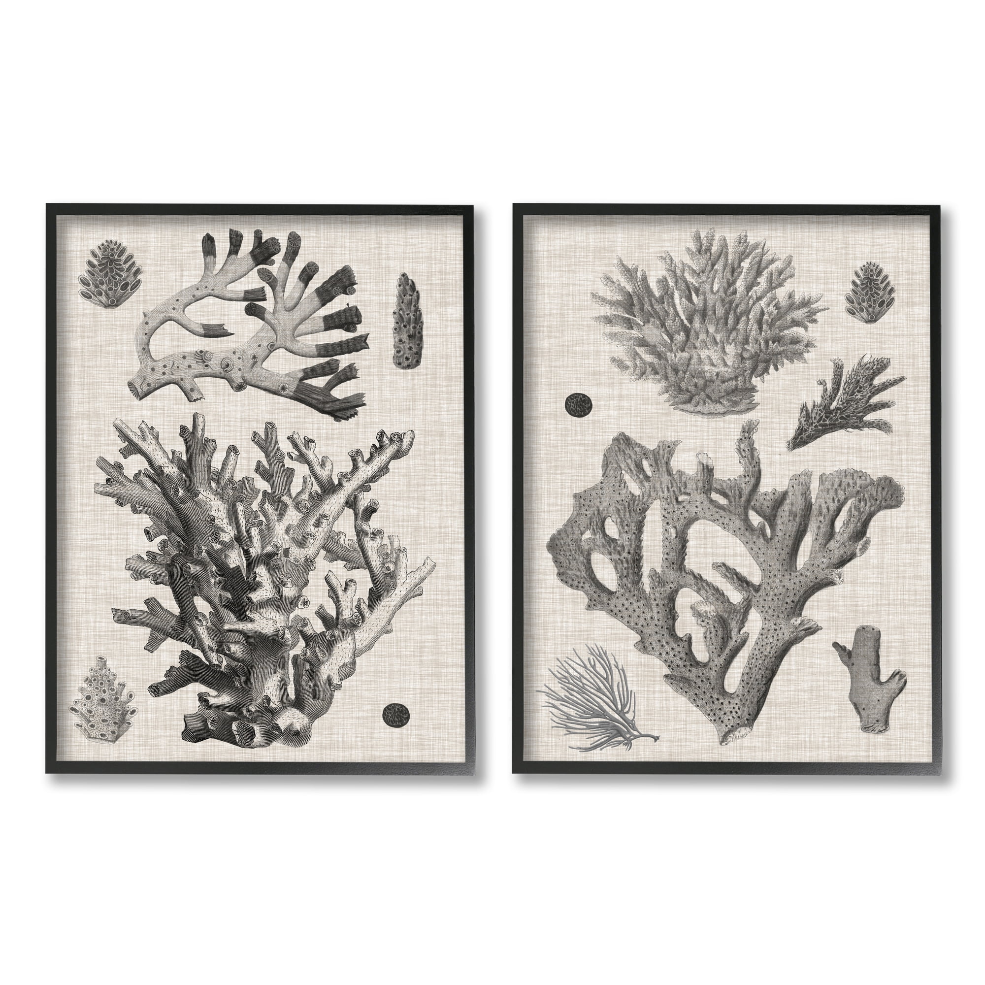 Stupell Industries Vintage Coral Study Animals & Insects Painting Black Framed Art Print Wall Art, 16 x 20, Set of 2