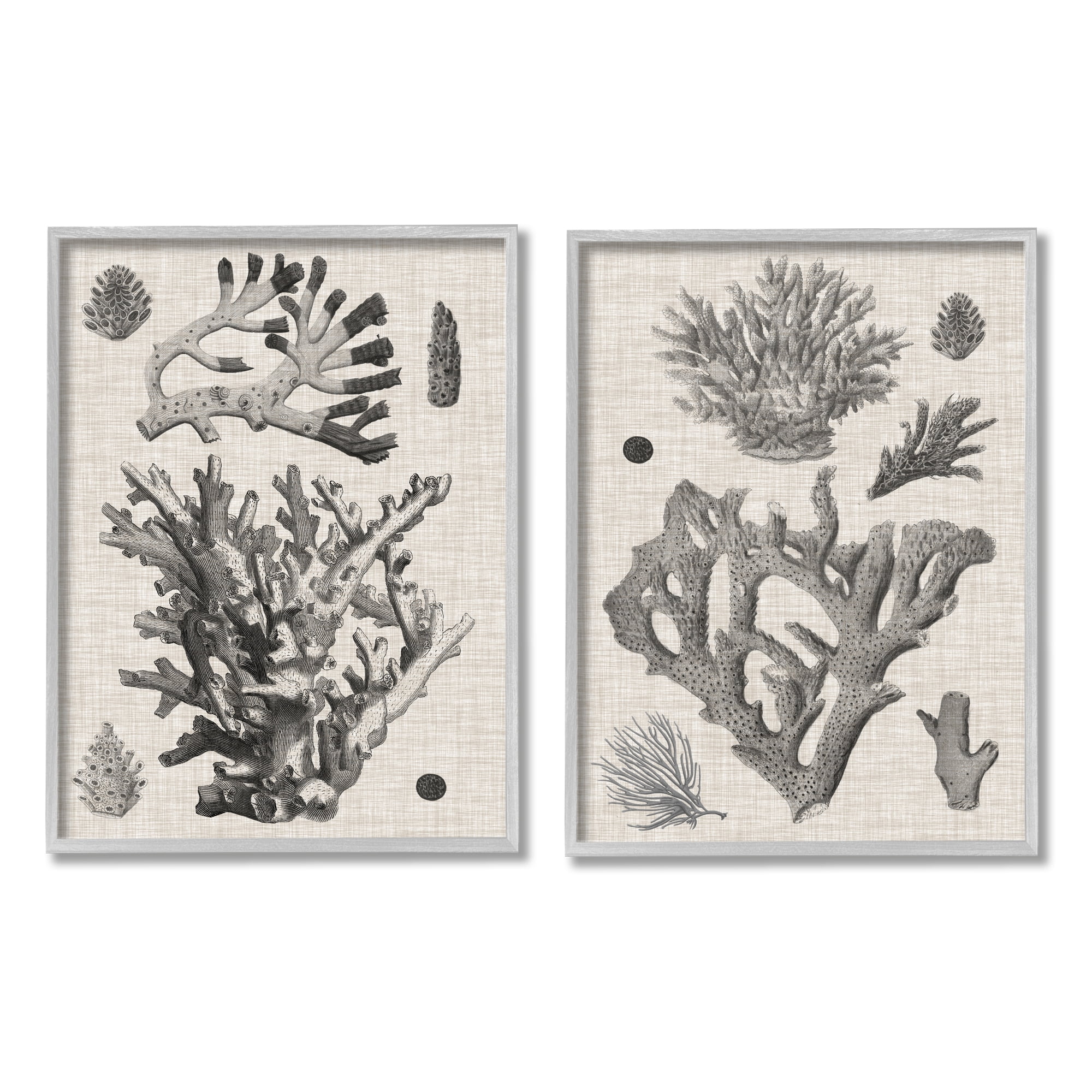 Stupell Industries Vintage Coral Study Animals & Insects Painting Gray Framed Art Print Wall Art, 24 x 30, Set of 2