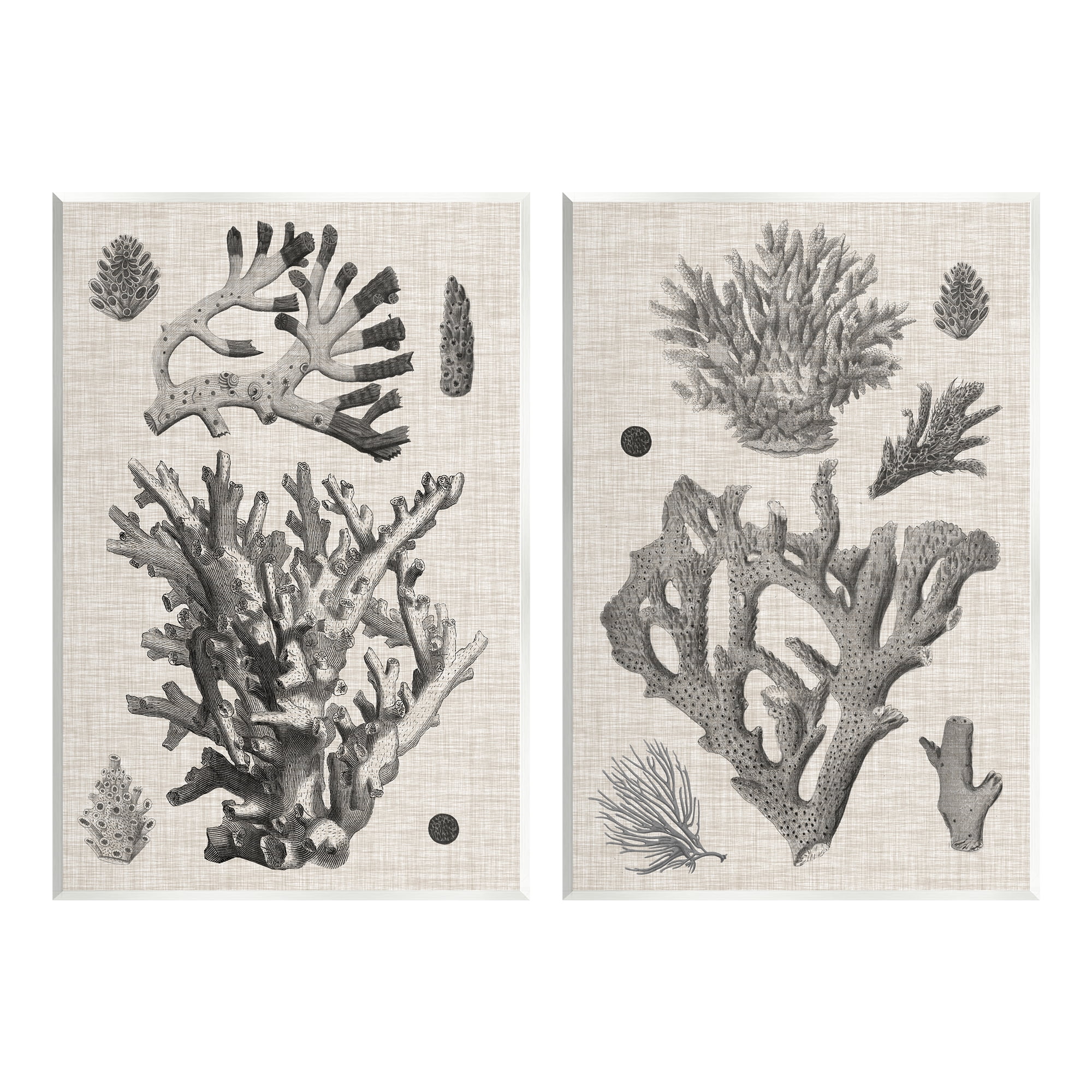 Vintage Coral Study Gray and Beige MDF Wood Wall Art Set