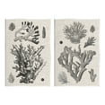 thumbnail image 1 of Stupell Industries Vintage Coral Study Animals & Insects Painting Unframed Art Print Wall Art, 13 x 19, Set of 2, 1 of 7
