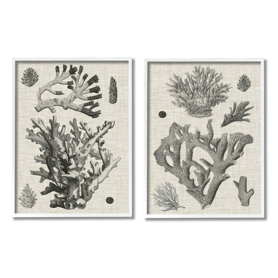 Stupell Industries Vintage Coral Study Animals & Insects Painting White Framed Art Print Wall Art, 16 x 20, Set of 2