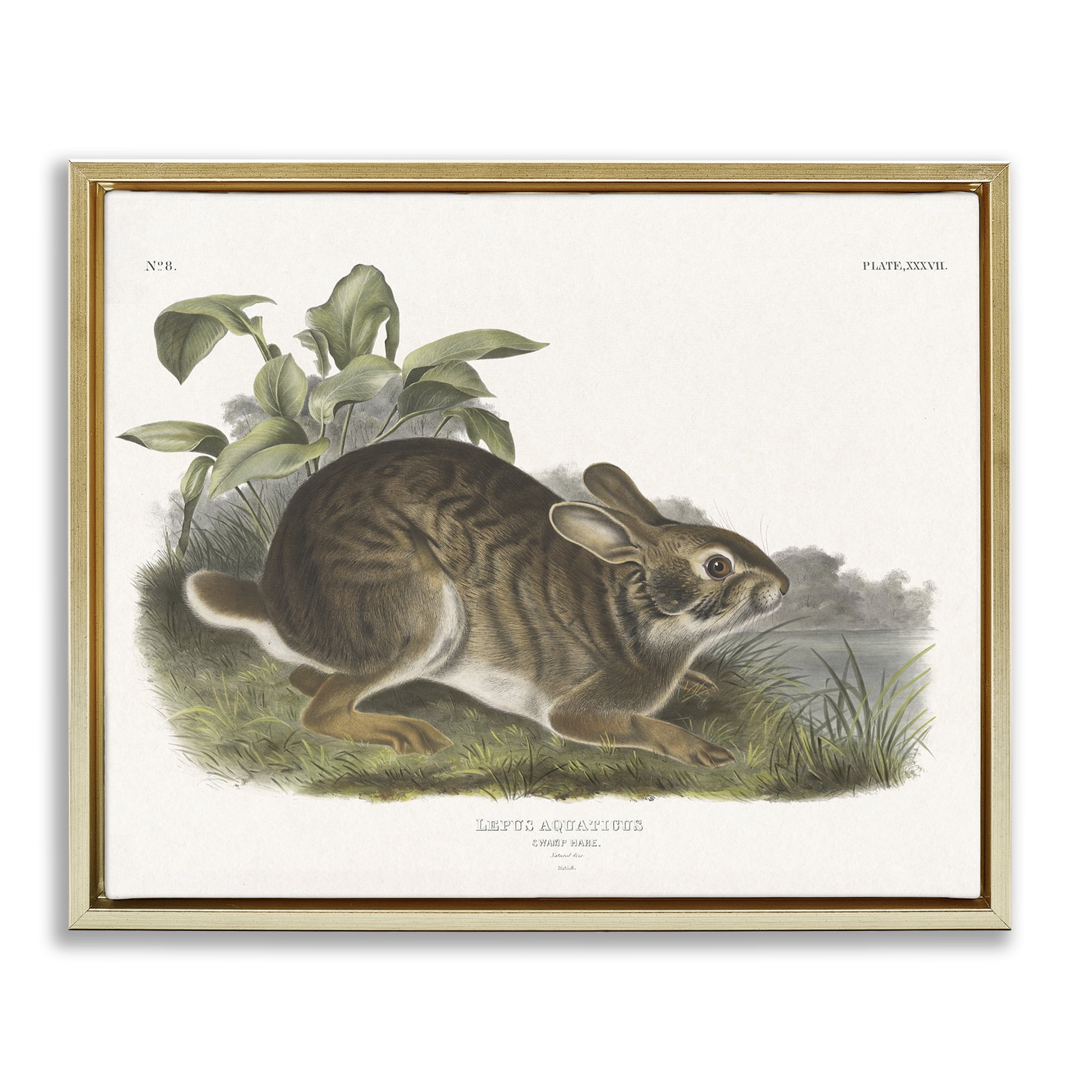 Stupell Industries Vintage Cottage Hare Animals & Insects Painting Gold Floater Framed Canvas Art Print Wall Art, 21 x 17