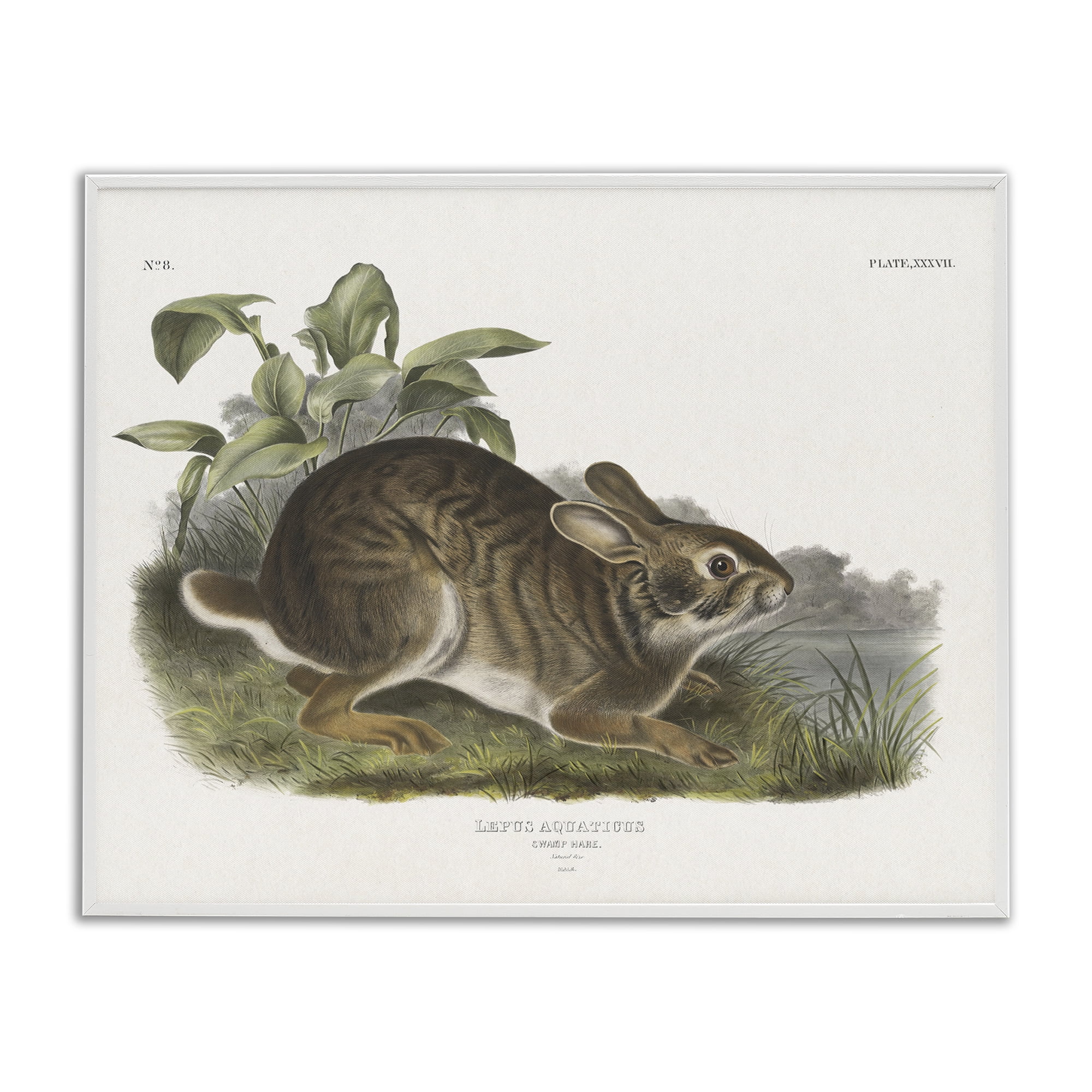 Stupell Industries Vintage Cottage Hare Animals & Insects Painting White Framed Art Print Wall Art, 14 x 11